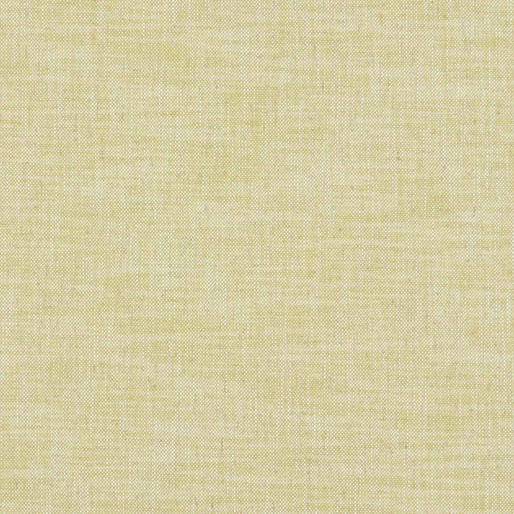 Milton Citron by Clarke And Clarke Designer Fabric CLARKE & CLARKE HERITAGE COTTON - 42%;COTTON - 42%;LINEN - 11%;POLYESTER - 5% Turkey HEAVY Horizontal: 0 and Vertical: 0 54 - Swanky Fabrics -