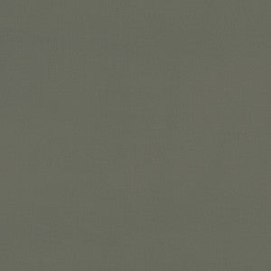 Clarke And Clarke Fabric Renzo Charcoal