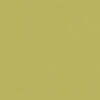 Clarke And Clarke Fabric Renzo Citrus