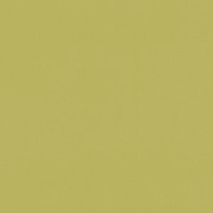 Clarke And Clarke Fabric Renzo Citrus