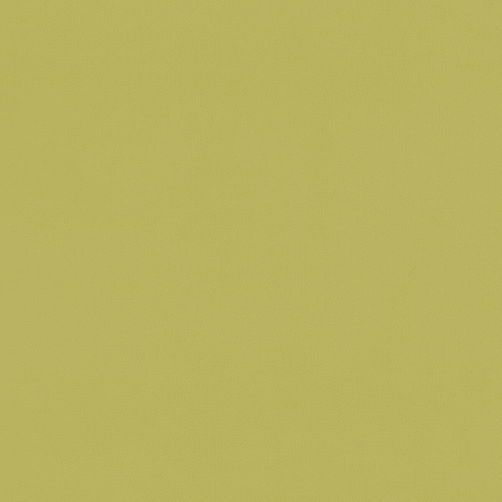 Renzo Citrus by Clarke And Clarke Designer Fabric CLARKE & CLARKE RENZO POLYESTER - 100% China HEAVY Horizontal: 0 and Vertical: 0 55 - Swanky Fabrics -