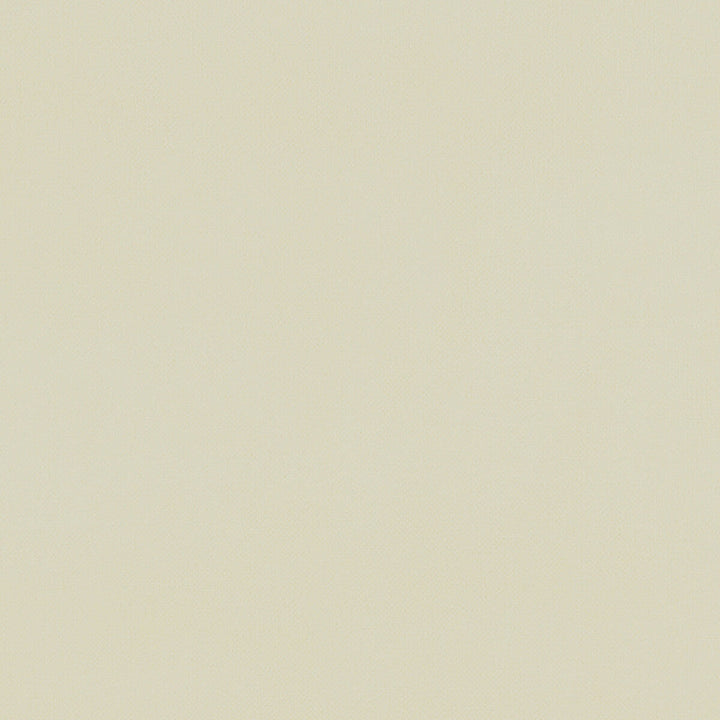 Renzo Cream by Clarke And Clarke Designer Fabric CLARKE & CLARKE RENZO POLYESTER - 100% China HEAVY Horizontal: 0 and Vertical: 0 55 - Swanky Fabrics -