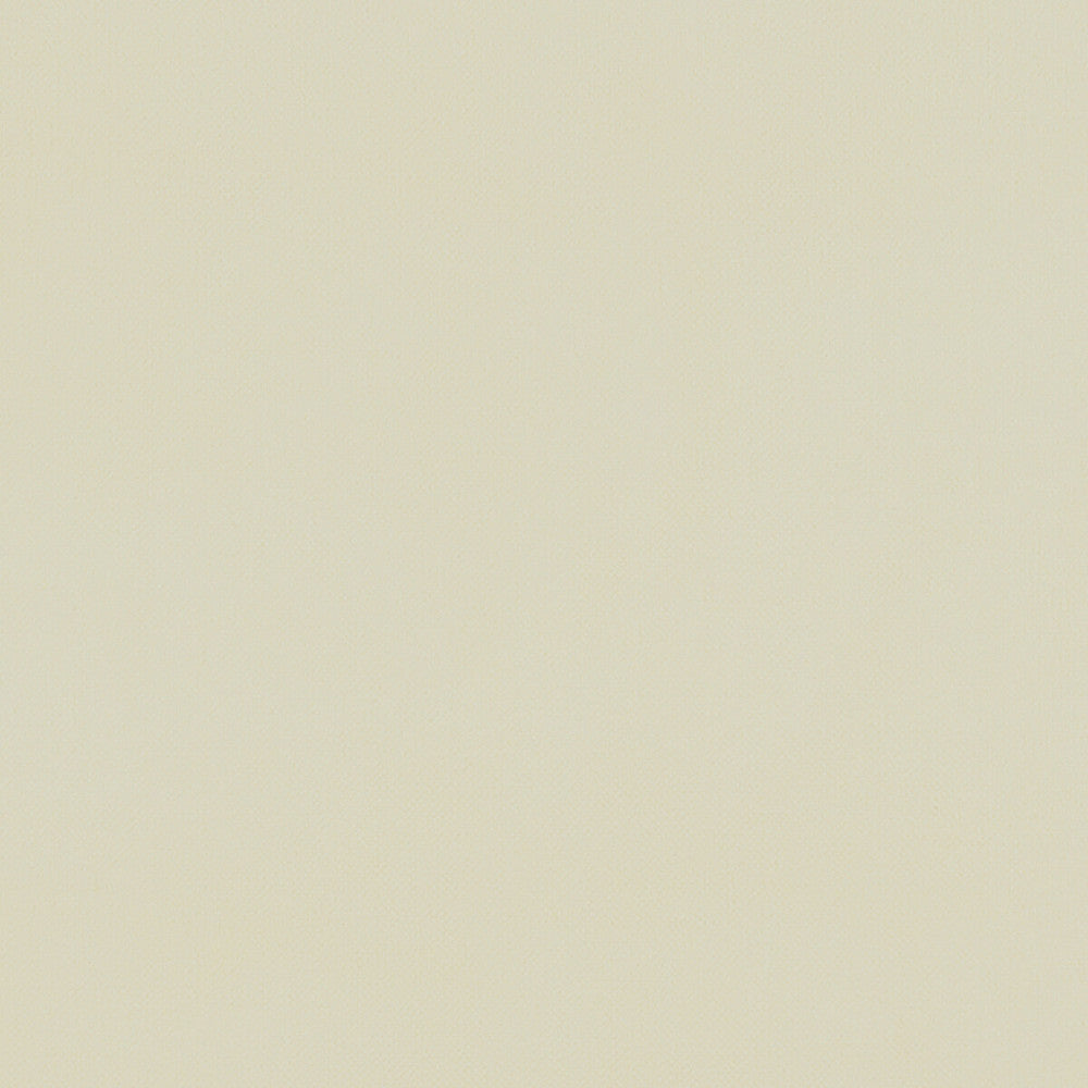 Renzo Cream by Clarke And Clarke Designer Fabric CLARKE & CLARKE RENZO POLYESTER - 100% China HEAVY Horizontal: 0 and Vertical: 0 55 - Swanky Fabrics -