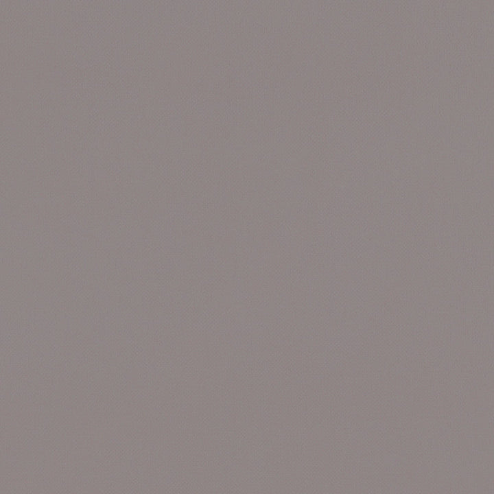 F1231 10 Renzo Feather by Clarke and Clarke Designer Fabric STUDIO G POLYESTER - 100% China HEAVY Horizontal: 0 and Vertical: 0 55 - Swanky Fabrics -
