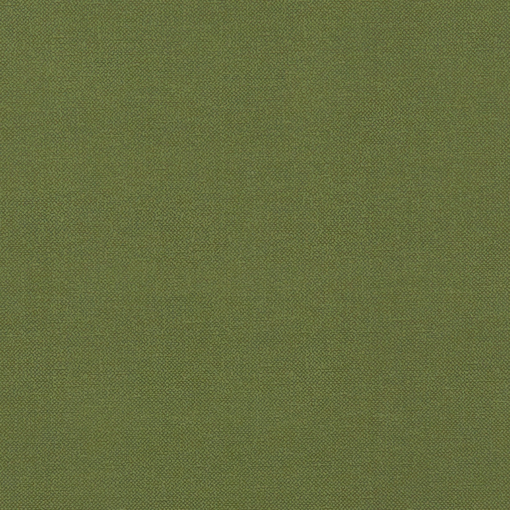 F1231 11 Renzo Forest by Clarke and Clarke Designer Fabric STUDIO G POLYESTER - 100% China HEAVY Horizontal: 0 and Vertical: 0 55 - Swanky Fabrics -