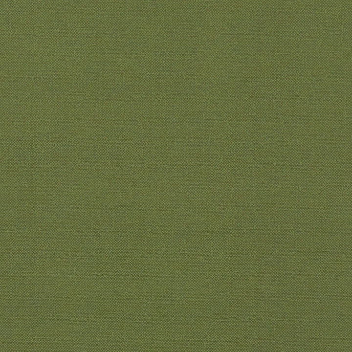 F1231 11 Renzo Forest by Clarke and Clarke Designer Fabric STUDIO G POLYESTER - 100% China HEAVY Horizontal: 0 and Vertical: 0 55 - Swanky Fabrics -