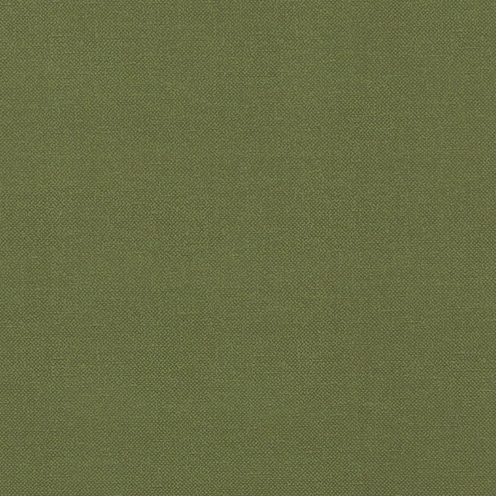 Renzo Forest by Clarke And Clarke Fabric Clarke And Clarke Fabric Renzo ForestFabric CLARKE & CLARKE RENZO POLYESTER - 100% China </p><p>Repeat: H: 0, V: 0 55 - Fabric Carolina -