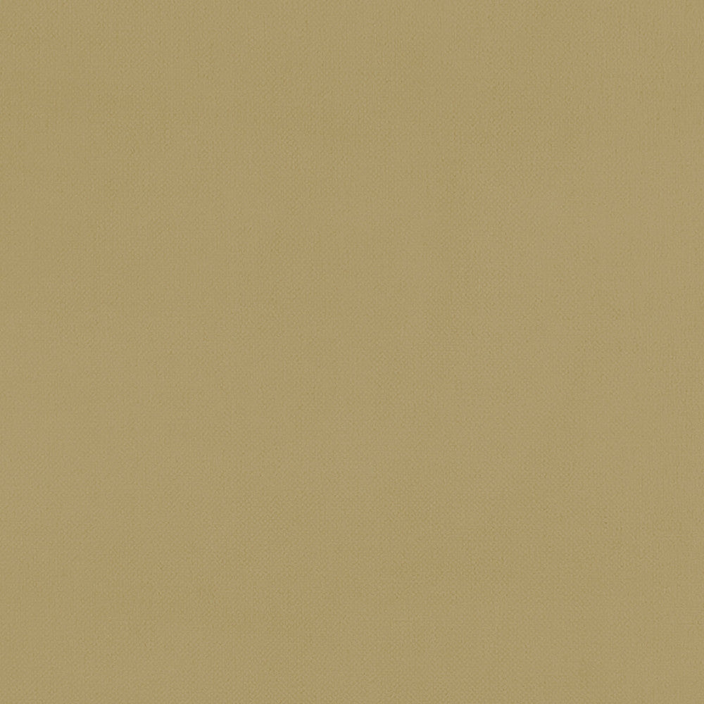 Renzo Ochre by Clarke And Clarke Designer Fabric CLARKE & CLARKE RENZO POLYESTER - 100% China HEAVY Horizontal: 0 and Vertical: 0 55 - Swanky Fabrics -