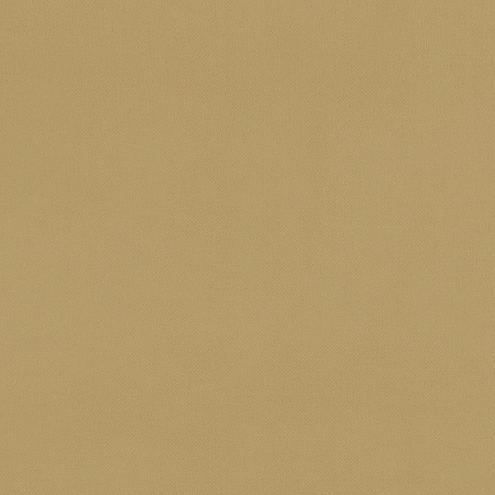 F1231 18 Renzo Ochre by Clarke and Clarke Designer Fabric STUDIO G POLYESTER - 100% China HEAVY Horizontal: 0 and Vertical: 0 55 - Swanky Fabrics -