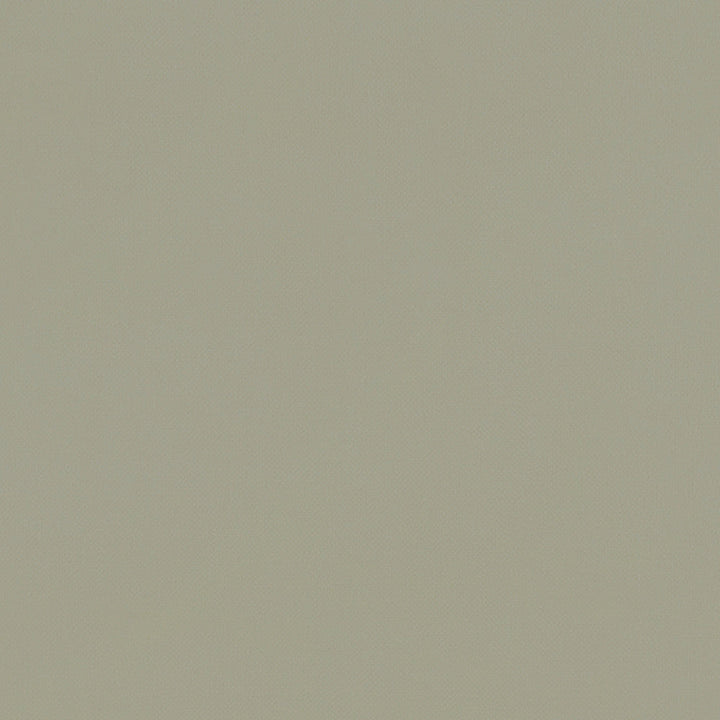 F1231 22 Renzo Sage by Clarke and Clarke Designer Fabric STUDIO G POLYESTER - 100% China HEAVY Horizontal: 0 and Vertical: 0 55 - Swanky Fabrics -