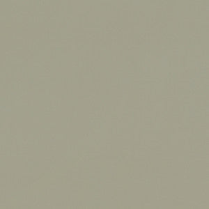 Clarke And Clarke Fabric Renzo Sage