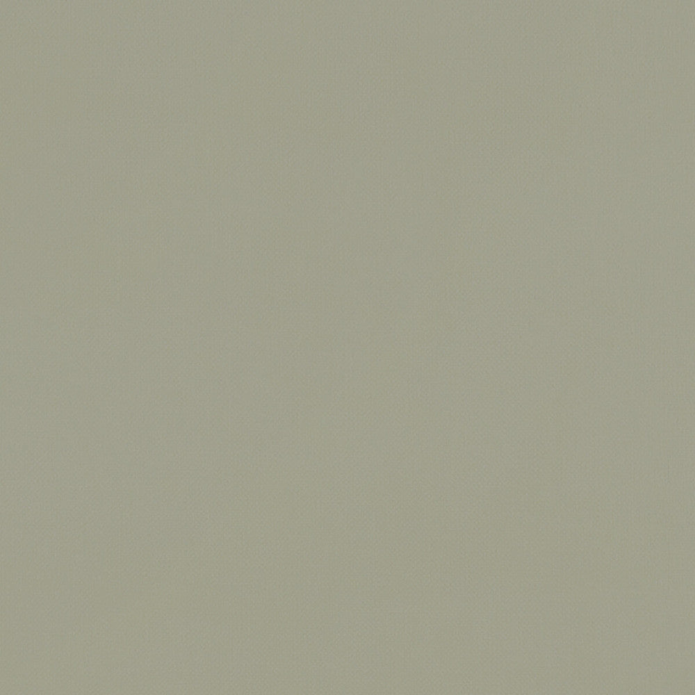 Renzo Sage by Clarke And Clarke Fabric Clarke And Clarke Fabric Renzo SageFabric CLARKE & CLARKE RENZO POLYESTER - 100% China </p><p>Repeat: H: 0, V: 0 55 - Fabric Carolina -