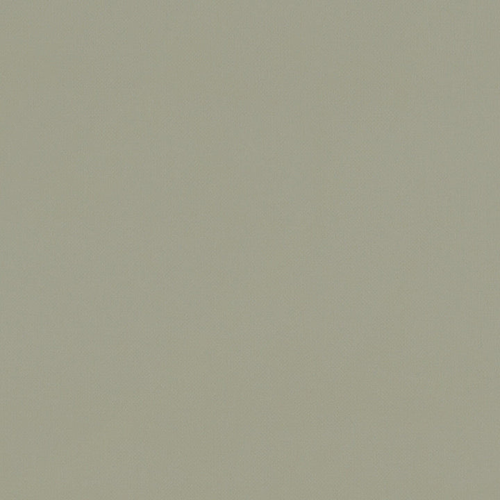 Renzo Sage by Clarke And Clarke Fabric Clarke And Clarke Fabric Renzo SageFabric CLARKE & CLARKE RENZO POLYESTER - 100% China </p><p>Repeat: H: 0, V: 0 55 - Fabric Carolina -