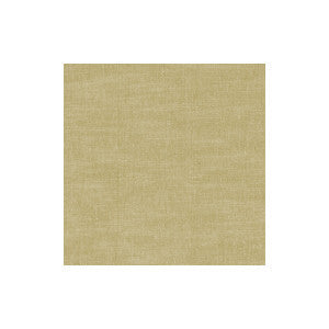 Clarke And Clarke Fabric Amalfi Antique