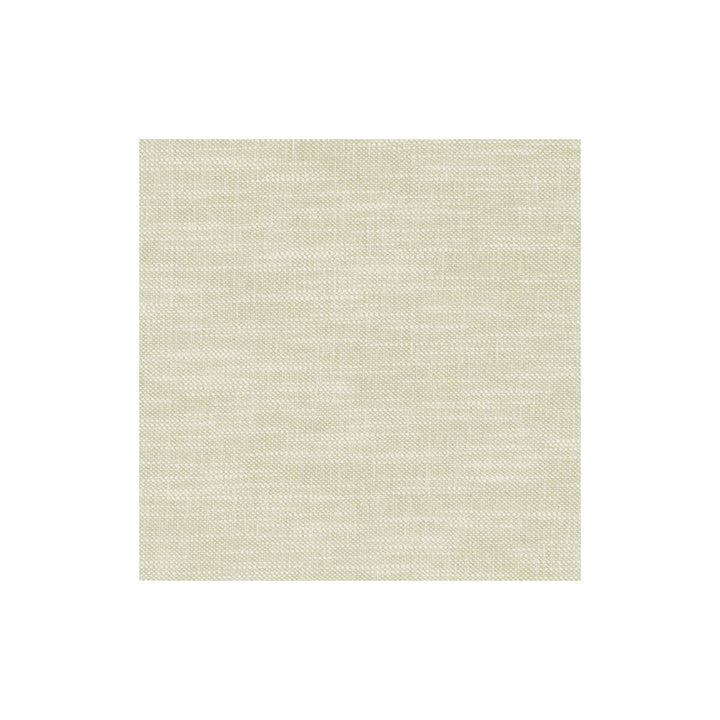 Amalfi Ghost by Clarke And Clarke Designer Fabric CLARKE & CLARKE AMALFI COTTON - 77%;POLYESTER - 23% India HEAVY Horizontal: 0 and Vertical: 0 54 - Swanky Fabrics -