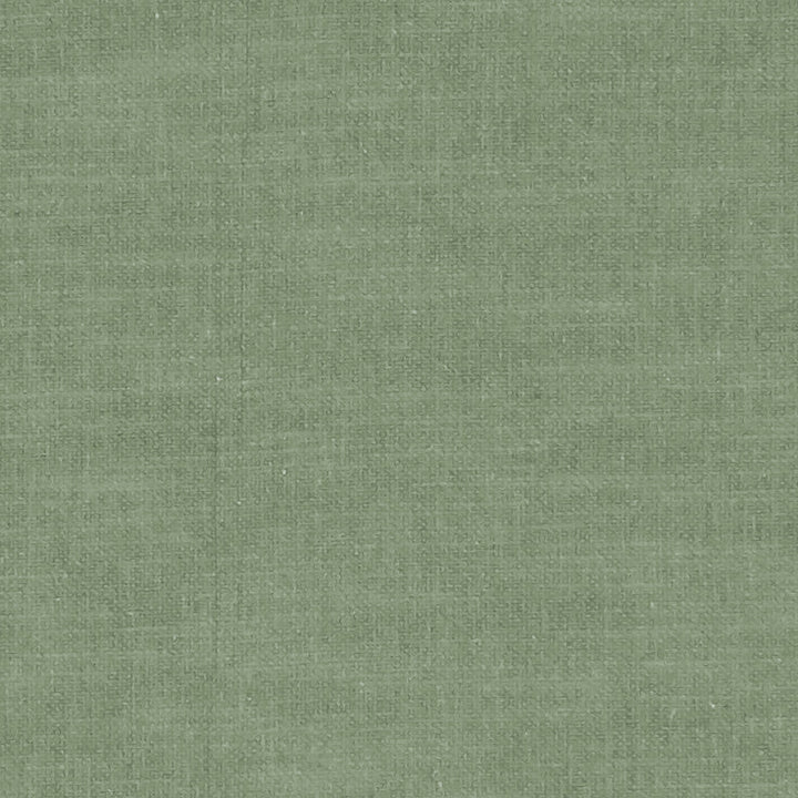 F1239 30 Amalfi Herb by Clarke and Clarke Designer Fabric CLARKE & CLARKE COTTON - 77%;POLYESTER - 23% India HEAVY Horizontal: 0 and Vertical: 0 54 - Swanky Fabrics -