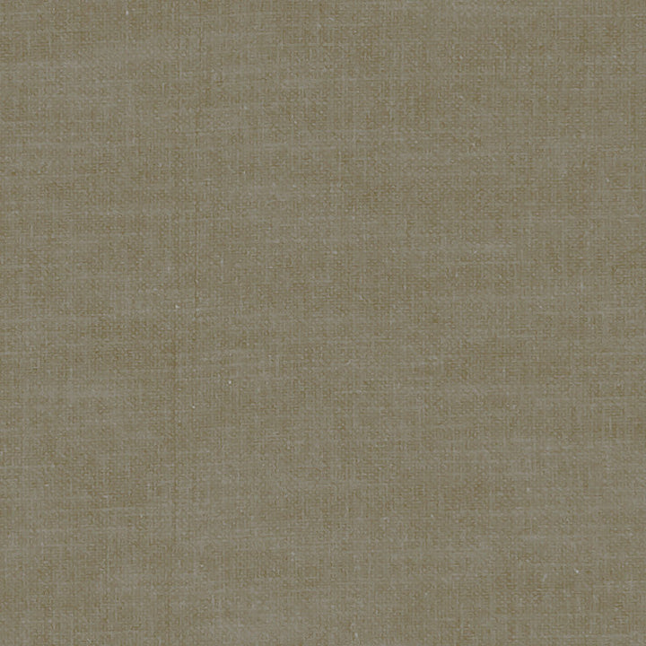 F1239 39 Amalfi Mink by Clarke and Clarke Designer Fabric CLARKE & CLARKE COTTON - 77%;POLYESTER - 23% India HEAVY Horizontal: 0 and Vertical: 0 54 - Swanky Fabrics -