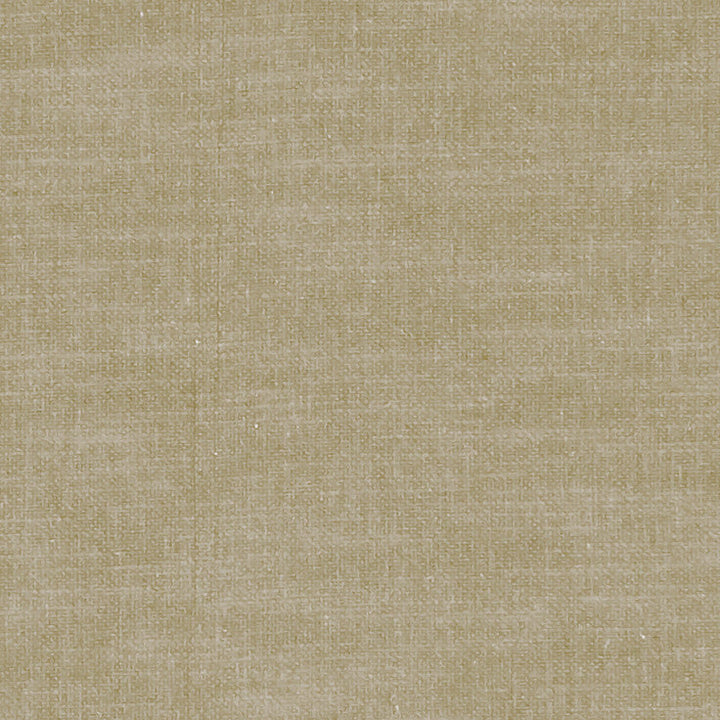 F1239 44 Amalfi Oatmeal by Clarke and Clarke Designer Fabric CLARKE & CLARKE COTTON - 77%;POLYESTER - 23% India HEAVY Horizontal: 0 and Vertical: 0 54 - Swanky Fabrics -