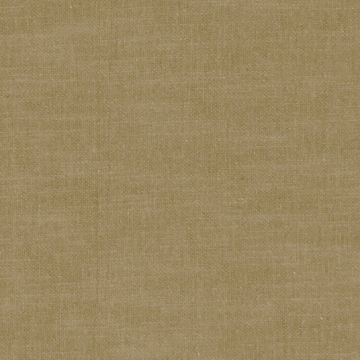 F1239 45 Amalfi Olive by Clarke and Clarke Designer Fabric CLARKE & CLARKE COTTON - 77%;POLYESTER - 23% India HEAVY Horizontal: 0 and Vertical: 0 54 - Swanky Fabrics -