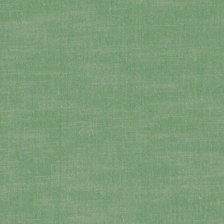 F1239 46 Amalfi Palm by Clarke and Clarke Designer Fabric CLARKE & CLARKE COTTON - 77%;POLYESTER - 23% India HEAVY Horizontal: 0 and Vertical: 0 54 - Swanky Fabrics -