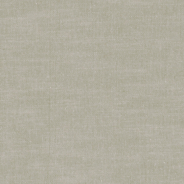 F1239 48 Amalfi Pebble by Clarke and Clarke Designer Fabric CLARKE & CLARKE COTTON - 77%;POLYESTER - 23% India HEAVY Horizontal: 0 and Vertical: 0 54 - Swanky Fabrics -