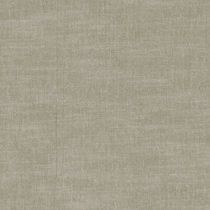 F1239 52 Amalfi Putty by Clarke and Clarke Designer Fabric CLARKE & CLARKE COTTON - 77%;POLYESTER - 23% India HEAVY Horizontal: 0 and Vertical: 0 54 - Swanky Fabrics -