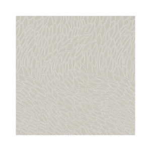 Clarke And Clarke Fabric Corallino Champagne