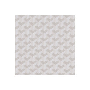 Clarke And Clarke Fabric Struttura Champagne