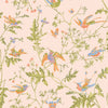 Cole & Son Fabric Hummingbirds Cotton Print - Orange
