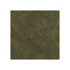 Clarke And Clarke Fabric Martello Olive