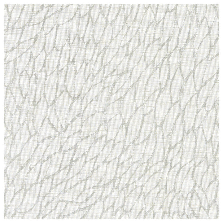Corallino Sheer Chalk/Silver by Clarke And Clarke Designer Fabric CLARKE & CLARKE LUSSO SHEERS POLYESTER - 100% Turkey Horizontal: 9.84 and Vertical: 22.05 117 - Swanky Fabrics -