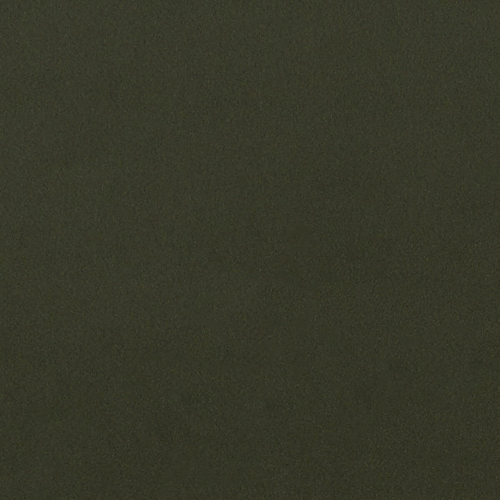 Lucca Chive by Clarke And Clarke Designer Fabric CLARKE & CLARKE ALONSO POLYESTER - 100% China HEAVY Horizontal: - and Vertical: - 55.125 - Swanky Fabrics -