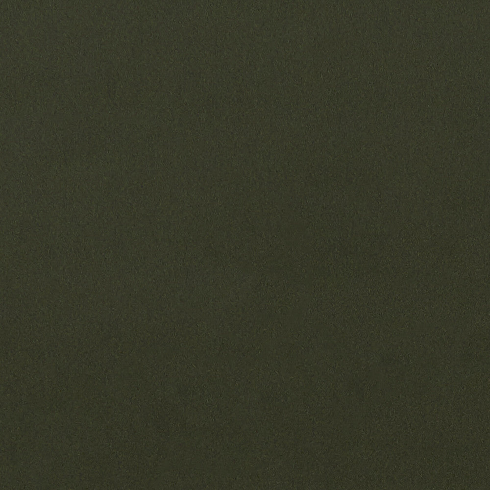 Lucca Chive by Clarke And Clarke Designer Fabric CLARKE & CLARKE ALONSO POLYESTER - 100% China HEAVY Horizontal: and Vertical: 55.125 - Swanky Fabrics -