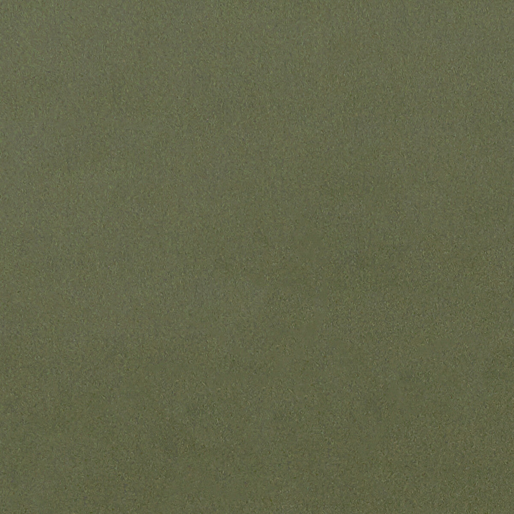 Lucca Herb by Clarke And Clarke Designer Fabric CLARKE & CLARKE ALONSO POLYESTER - 100% China HEAVY Horizontal: and Vertical: 55.125 - Swanky Fabrics -