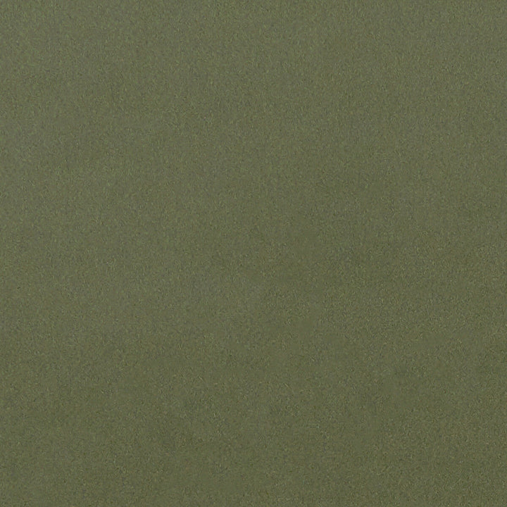 Lucca Herb by Clarke And Clarke Designer Fabric CLARKE & CLARKE ALONSO POLYESTER - 100% China HEAVY Horizontal: and Vertical: 55.125 - Swanky Fabrics -