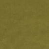 Clarke And Clarke Fabric Nola Citrus