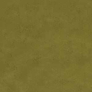 Clarke And Clarke Fabric Nola Citrus