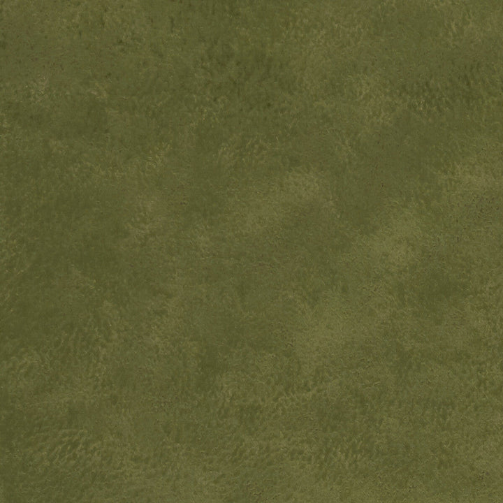 Nola Olive by Clarke And Clarke Fabric Clarke And Clarke Fabric Nola OliveFabric CLARKE & CLARKE ALONSO POLYESTER - 100% China </p><p>Repeat: H: , V: 55.125 - Fabric Carolina -