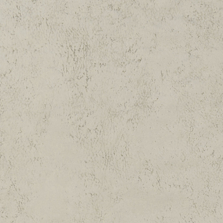Nola Oyster by Clarke And Clarke Designer Fabric CLARKE & CLARKE ALONSO POLYESTER - 100% China HEAVY Horizontal: and Vertical: 55.125 - Swanky Fabrics -