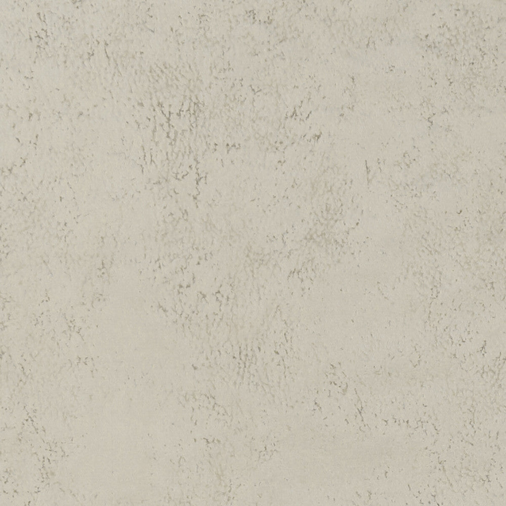 Nola Oyster by Clarke And Clarke Designer Fabric CLARKE & CLARKE ALONSO POLYESTER - 100% China HEAVY Horizontal: - and Vertical: - 55.125 - Swanky Fabrics -
