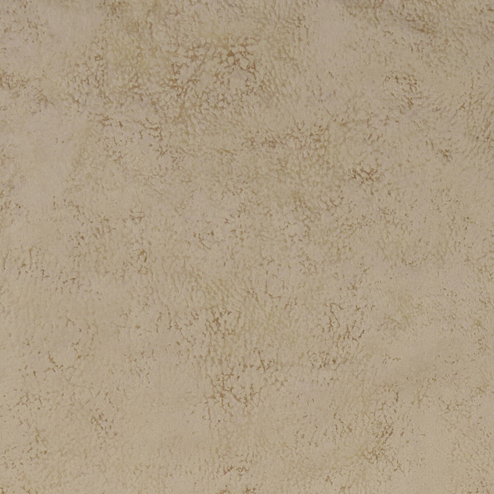 Nola Stone by Clarke And Clarke Designer Fabric CLARKE & CLARKE ALONSO POLYESTER - 100% China HEAVY Horizontal: - and Vertical: - 55.125 - Swanky Fabrics -