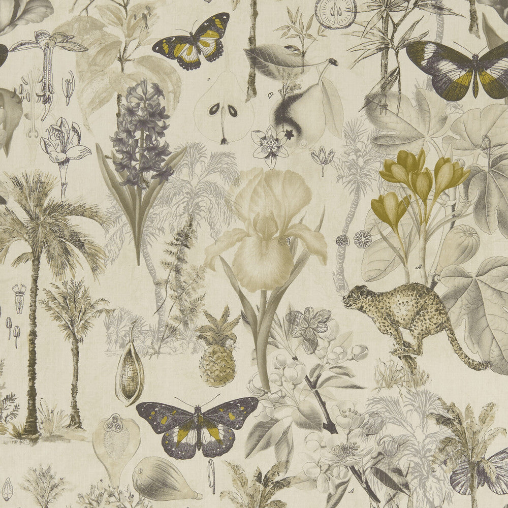 Botany Charcoal/Chartreuse by Clarke And Clarke Fabric Clarke And Clarke Fabric Botany Charcoal/ChartreuseFabric CLARKE & CLARKE EXOTICA COTTON - 100% India </p><p>Repeat: H: 27.125, V: 27.125 55.125 - Fabric Carolina -