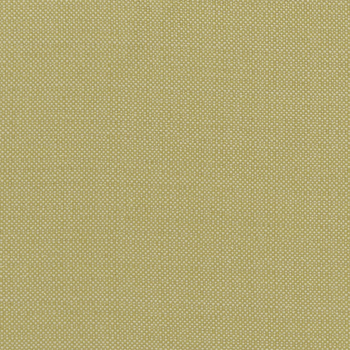 Kauai Citron by Clarke And Clarke Fabric Clarke And Clarke Fabric Kauai CitronFabric CLARKE & CLARKE EXOTICA COTTON - 46%;POLYESTER - 42%;VISCOSE - 12% India </p><p>Repeat: H: 0, V: 0 54 - Fabric Carolina -