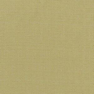 Clarke And Clarke Fabric Kauai Citron
