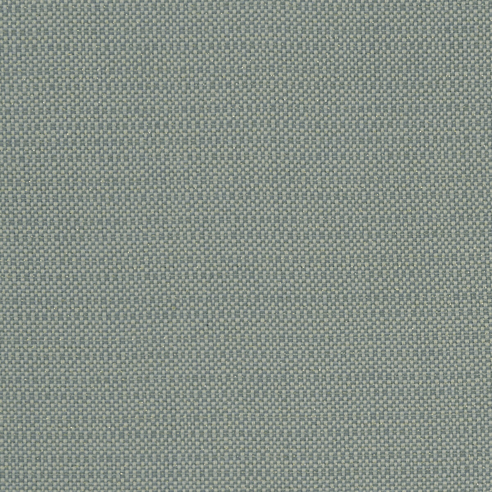 Kauai Mineral by Clarke And Clarke Designer Fabric CLARKE & CLARKE EXOTICA COTTON - 46%;POLYESTER - 42%;VISCOSE - 12% India HEAVY Horizontal: 0 and Vertical: 0 54 - Swanky Fabrics -