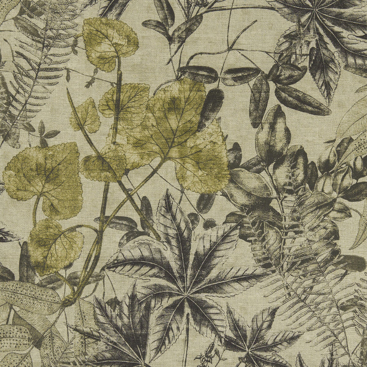 Madagascar Charcoal/Charteuse by Clarke And Clarke Designer Fabric CLARKE & CLARKE EXOTICA VISCOSE - 75%;LINEN - 25% India HEAVY Horizontal: 53.125 and Vertical: 26.375 54 - Swanky Fabrics -