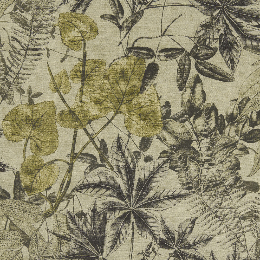 Madagascar Charcoal/Charteuse by Clarke And Clarke Designer Fabric CLARKE & CLARKE EXOTICA VISCOSE - 75%;LINEN - 25% India HEAVY Horizontal: 53.125 and Vertical: 26.375 54 - Swanky Fabrics -