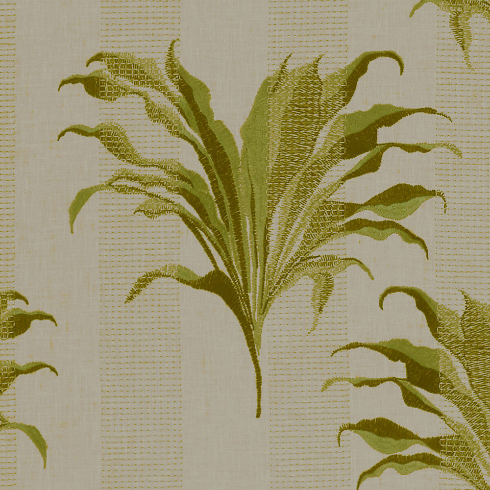 Palma Citron by Clarke And Clarke Designer Fabric CLARKE & CLARKE EXOTICA POLYESTER - 52%;COTTON - 48% India - Horizontal: 17 and Vertical: 12.875 54 - Swanky Fabrics -