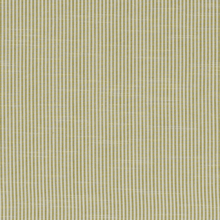 Bempton Olive by Clarke And Clarke Designer Fabric CLARKE & CLARKE BEMPTON COTTON - 100% India - Horizontal: 0.1875 and Vertical: 0 55.125 - Swanky Fabrics -