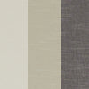 Clarke And Clarke Fabric Buckton Charcoal